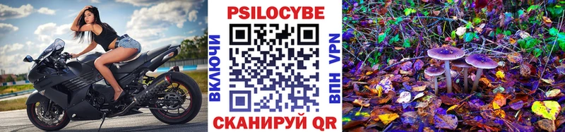 Псилоцибиновые грибы Psilocybine cubensis  Купино 